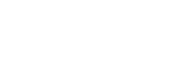 Logo Of Nature Electronics