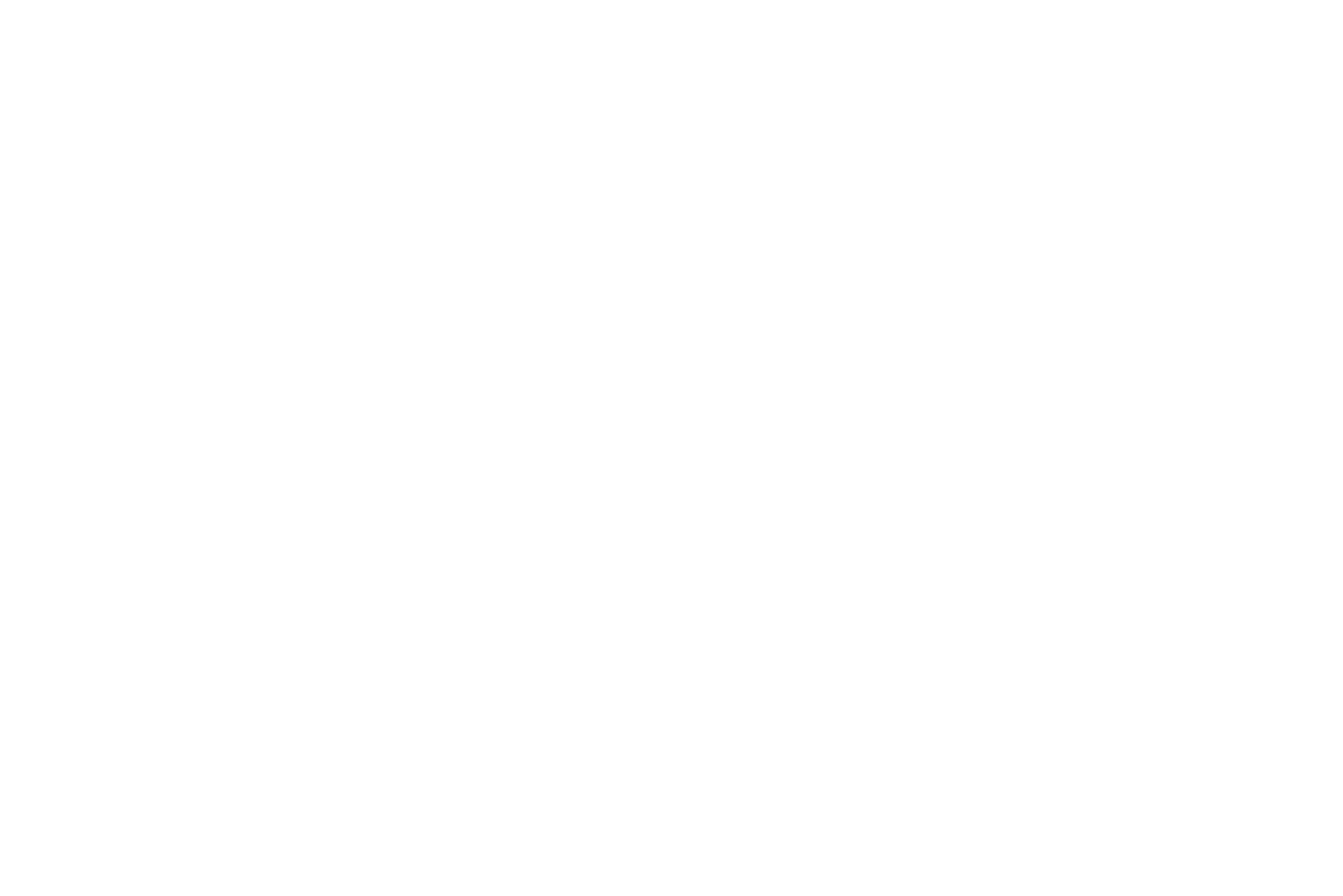 nitto